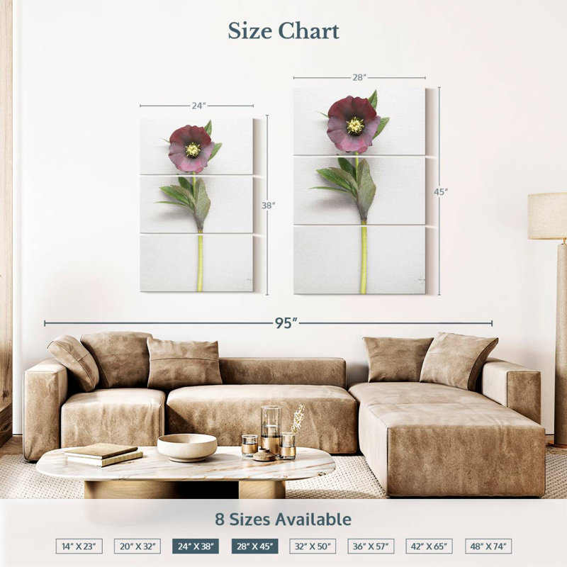 Harnek Hellebore Study II, H 23 po x l 14 po