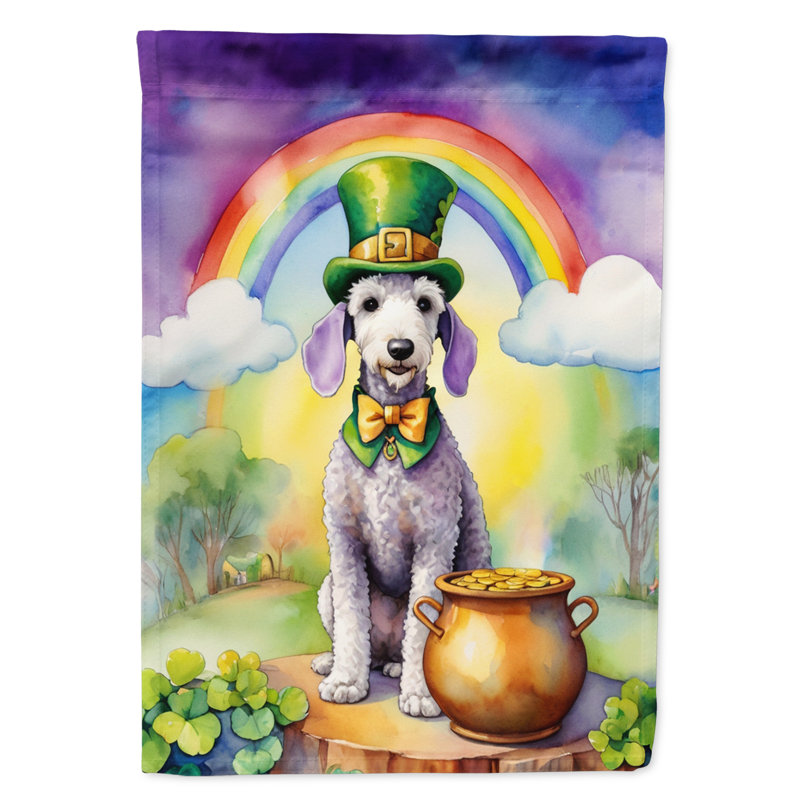 Double Sided 15.5'' H x 11.25'' W Polyester St Patrick's Day Garden Flag