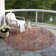Machine Washable Indoor/Outdoor Claudian ACN1646 Pink Rug