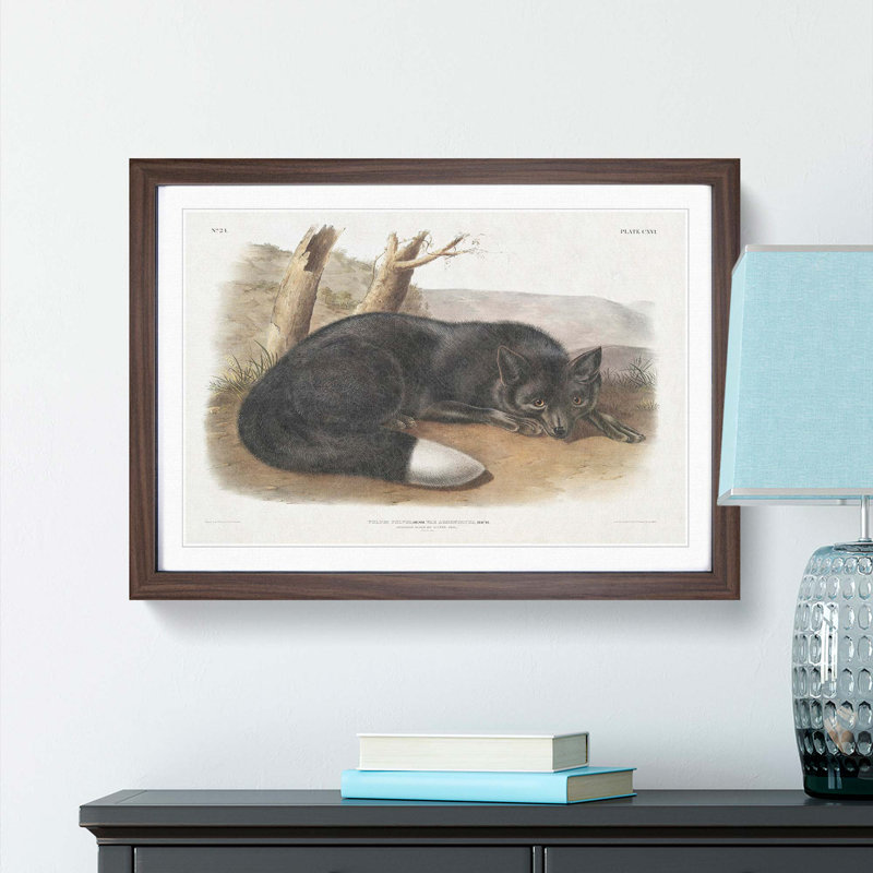 American Black Fox 1 Piece Single Picture Frame Painting, 33cm H x 45cm W x 2cm D, Walnut Framed