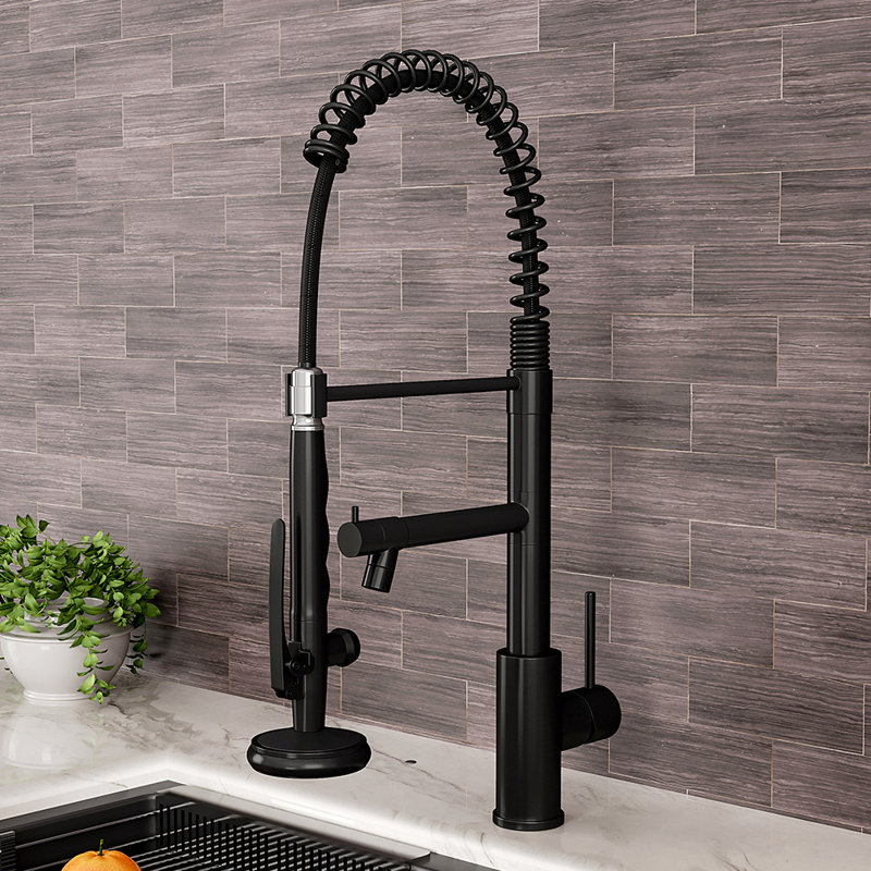 Belfry Kitchen Burhill Pull Out Kitchen Faucet, Black