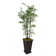 Aislin 72" Artificial Bamboo Tree in Planter