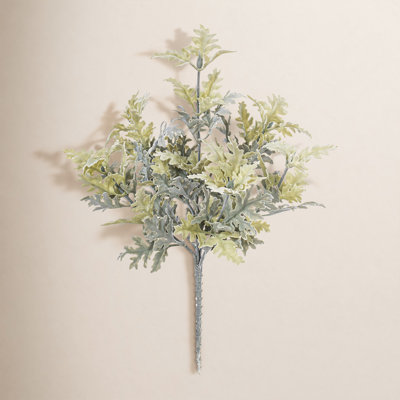 Dusty Miller Bush