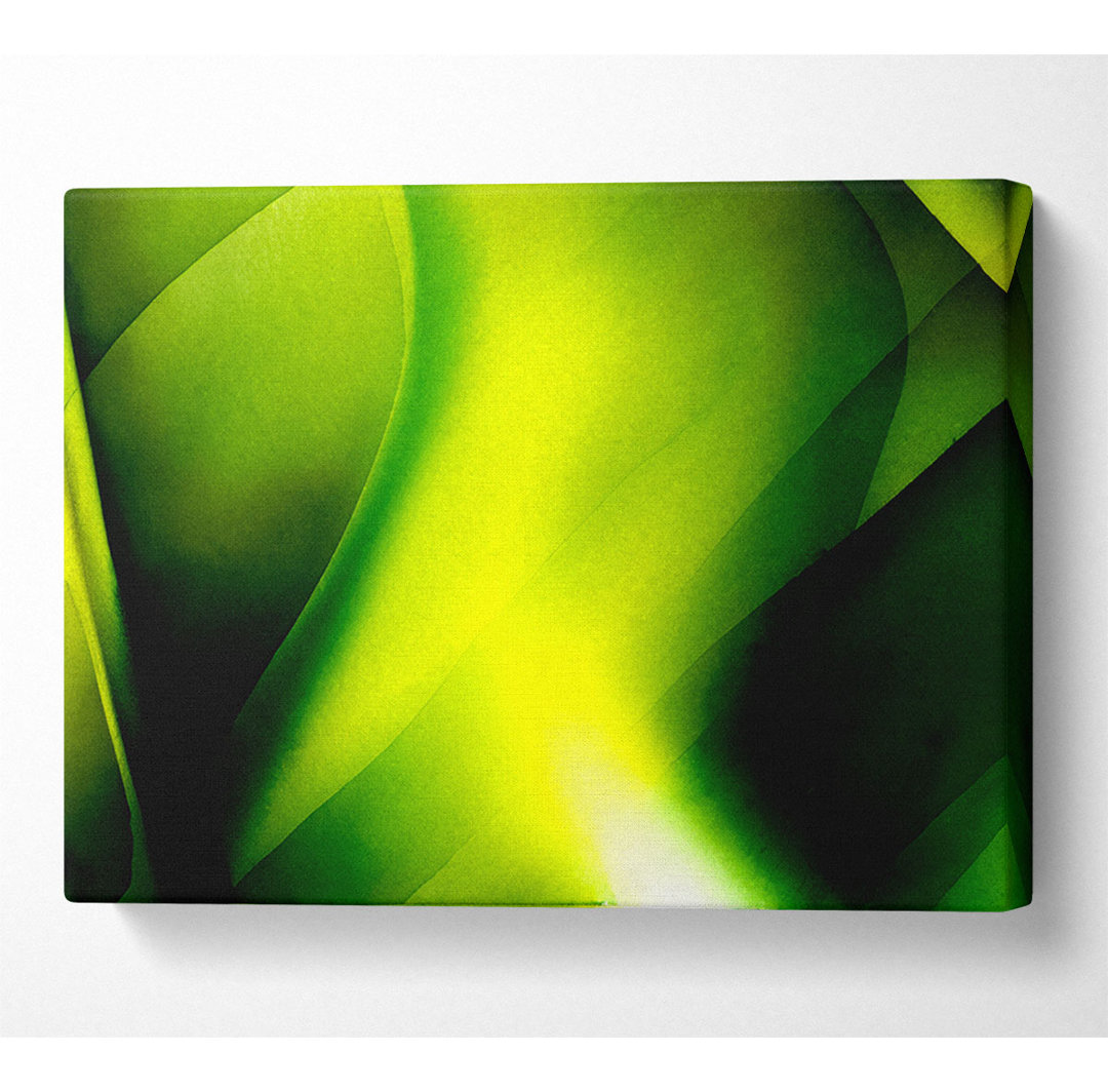 Lime Light - Kunstdrucke auf Leinwand - Wrapped Canvas