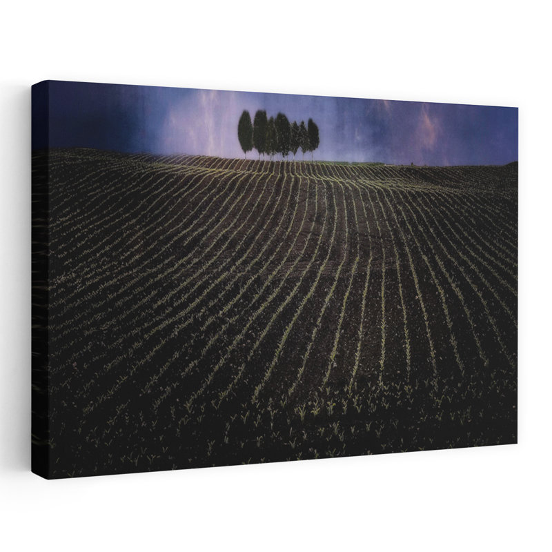 fields in early spring 1 Piece Wrapped Canvas Wall Art, 60.96 cm H x 91.44 cm W