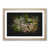 Oak Framed selected