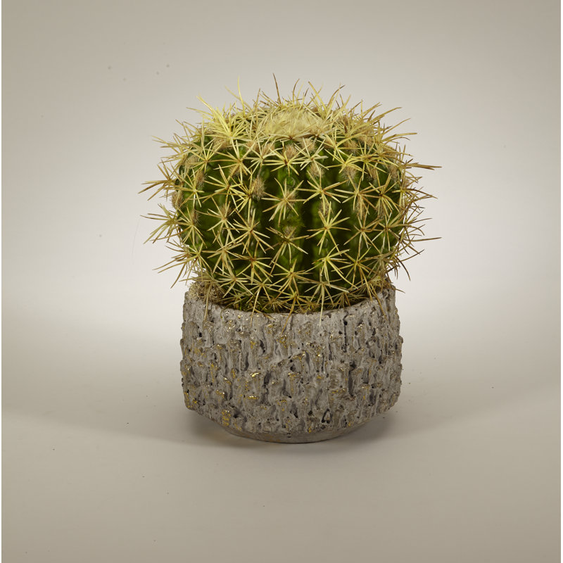 Faux Cactus Succulent in Clay Pot