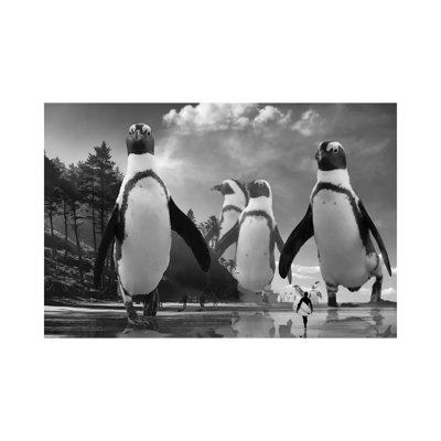 Walk Of The Penguins by David Loblaw - Wrapped Canvas Print