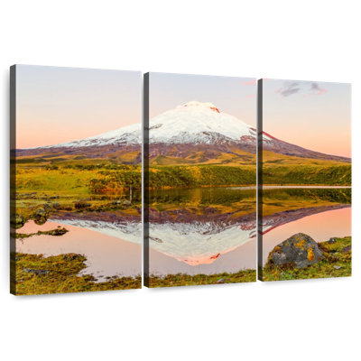 Alvord Cotopaxi Landscape