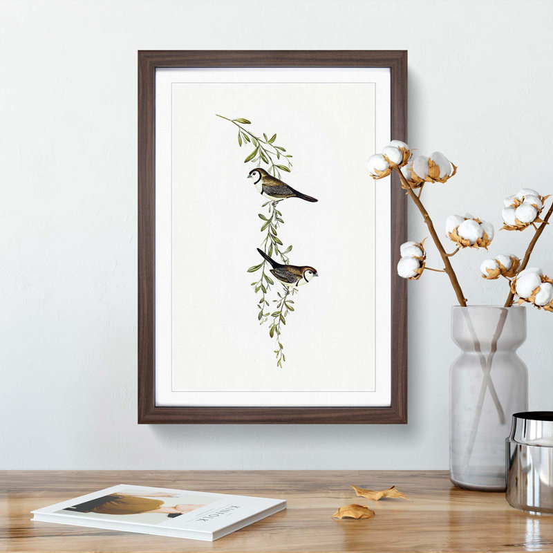 Black-Rumped Finch Birds by Elizabeth Gould - Picture Frame Painting Print, 36cm H x 27cm W x 2cm D, Walnut Framed