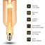 3 W 2000 K LED Smart Bulb