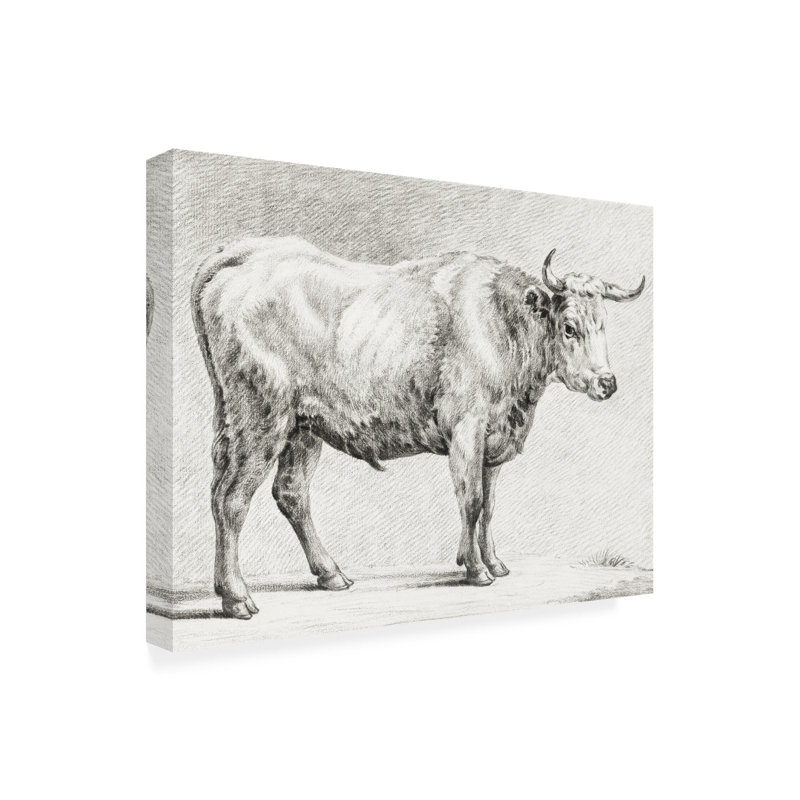 «Bernard's Bull Renderings IV» sur, H 35 po x l 35 po