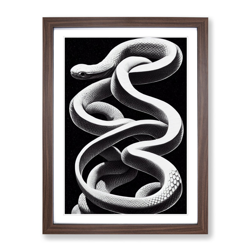 Coiled Snake - Single Picture Frame Print, 34cm H x 25cm W x 2cm D, Walnut