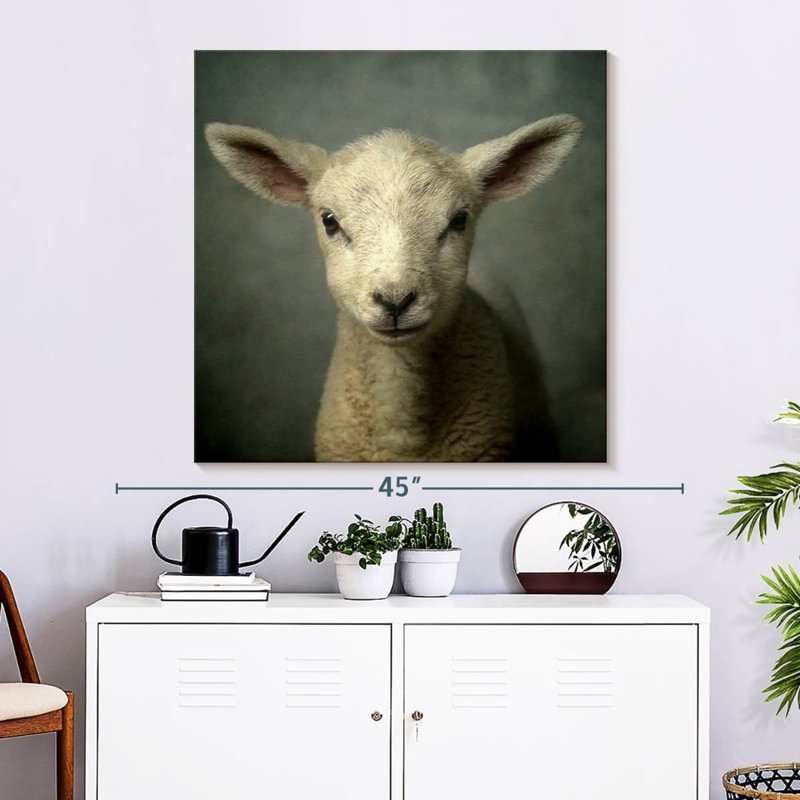 Crowle Newborn Lamb, 33" H x 33" W