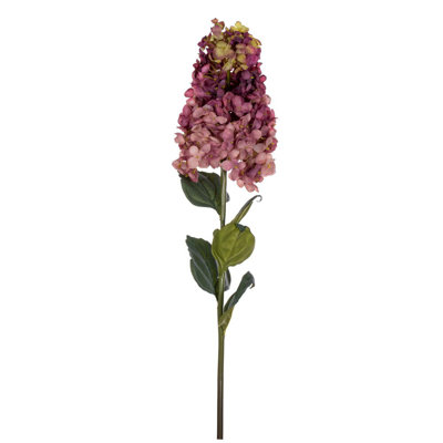 Hydrangea Stem