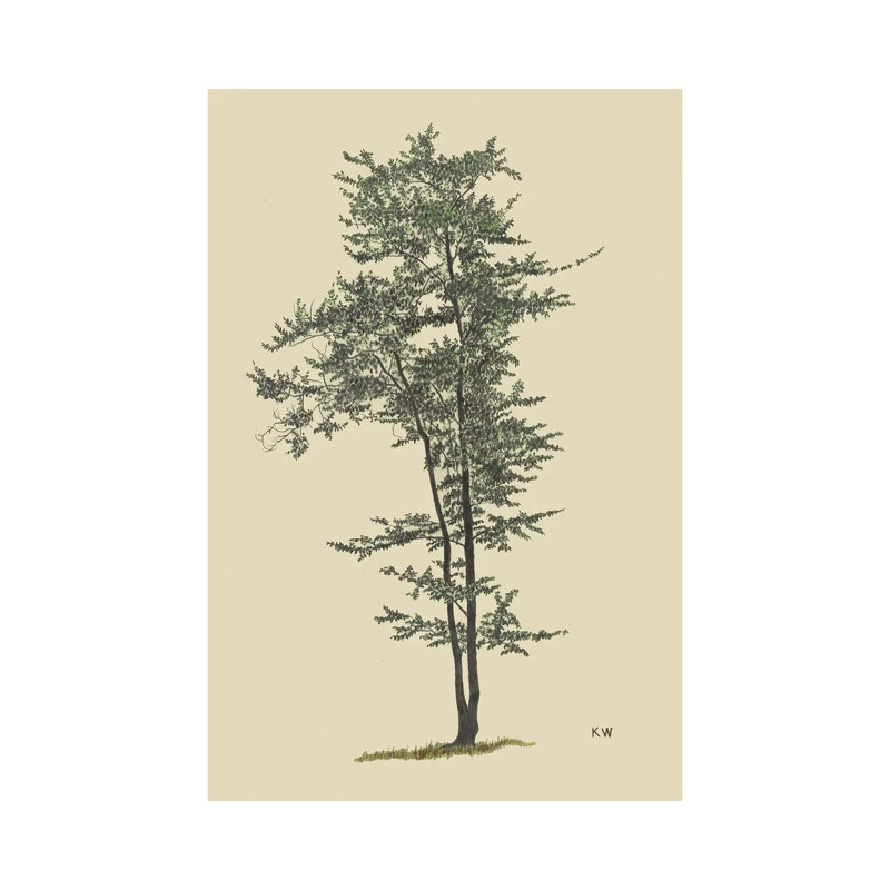 Print, Does Not Apply, 45.72 cm H x 30.48 cm W x 1.905 cm D