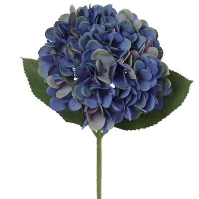 Hydrangea Stem