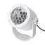 Projection & Strobe Lights-28167249