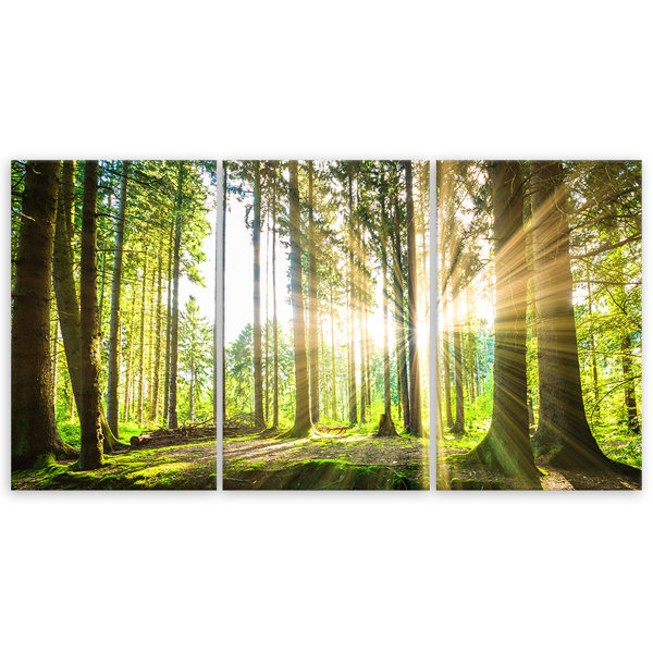 Union Rustic Forest Trees Nature - 3 Piece Wrapped Canvas Print ...