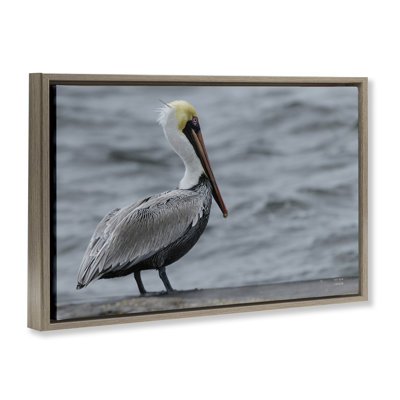Pelican Watch Photography Floating Frame, design by Nathan Larson