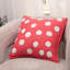 Dottie Square Pillow Cover & Insert-1728954078