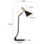 Farr Metal Desk Lamp