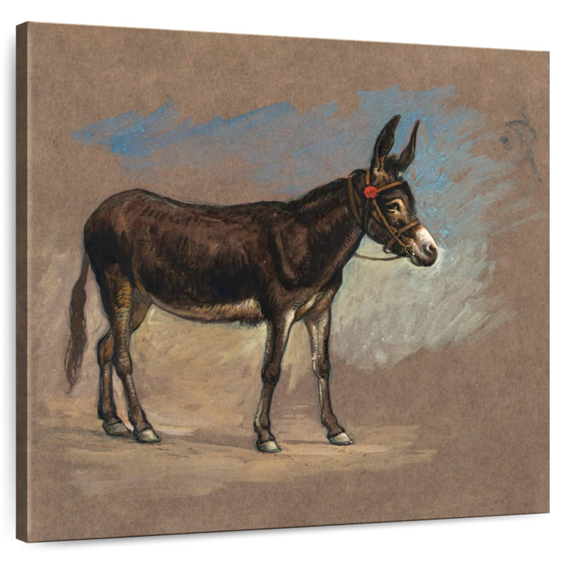 Brampt Study. A Mule