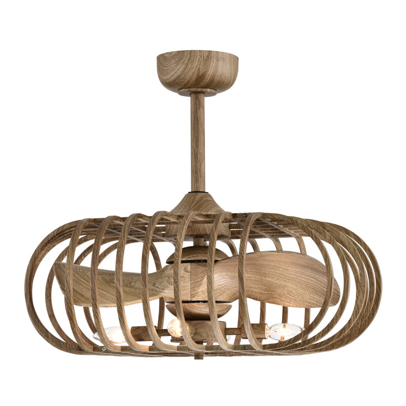 Oren 20'' Ceiling Fan with LED Lights