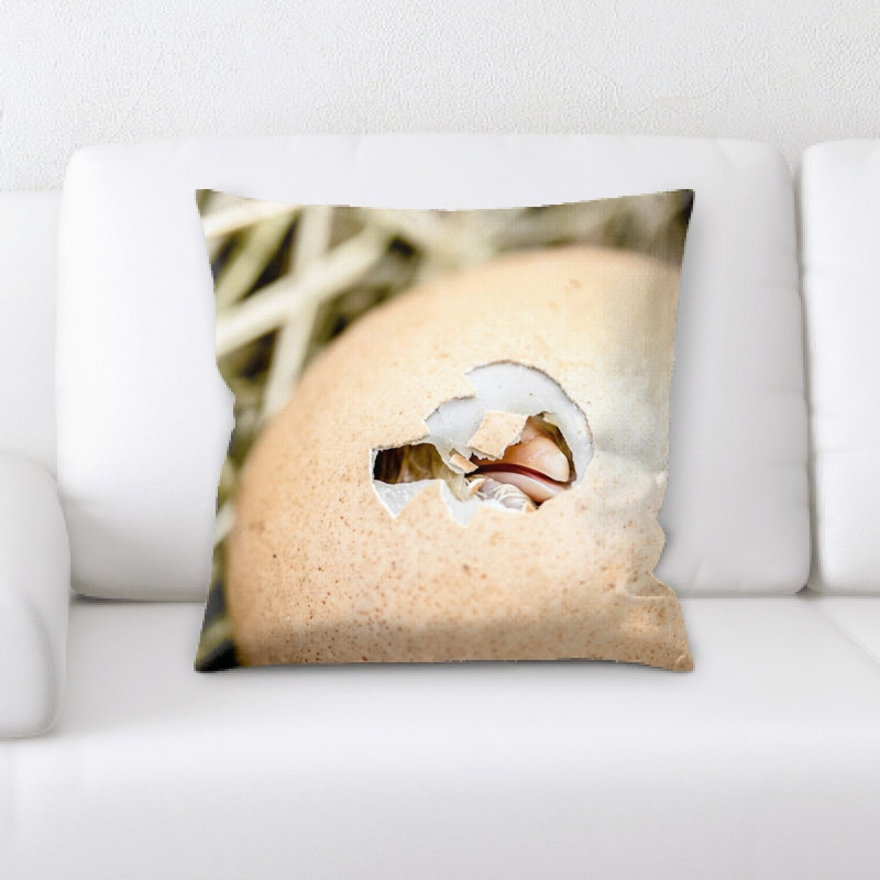 Coussin décoratif poussins éclos