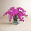 Orchid Centerpiece in Vase