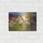 «Prairie contemporaine» par Carol Rowan-1048866479