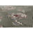 Attell Oriental Indoor Rug-29913059
