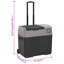 Ayviana 30 L Wheeled Ice Chest Cooler, Black