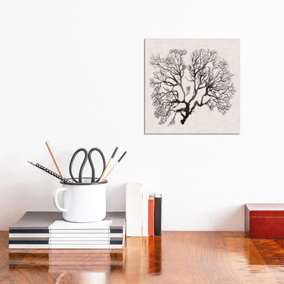 Shadow Sea Fan III by Grace Popp - Wrapped Canvas Print