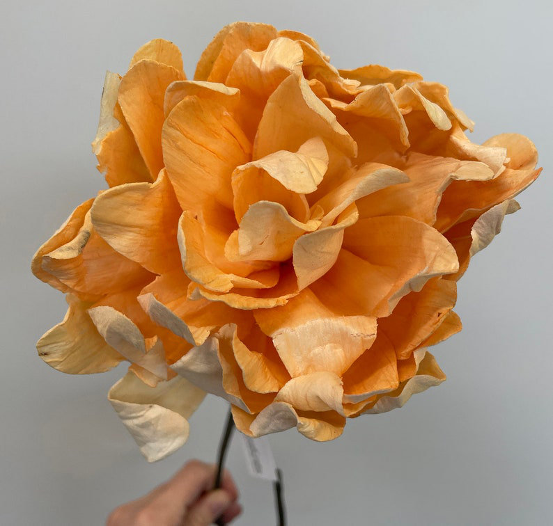 Roses simples