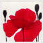 Red Poppy 2 Print by Ivo Stoyanov-564473839-564473836