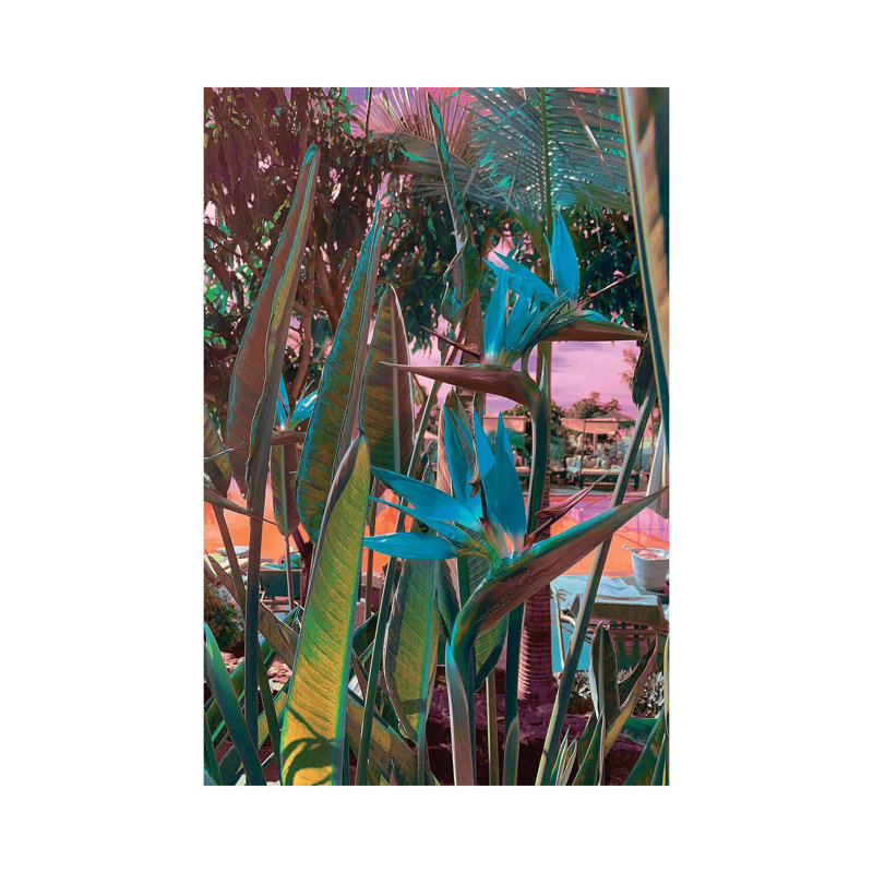 Ultra Tropical by Nathan Head - Print on Canvas, Wrapped Canvas, 66.04cm H x 45.72cm W x 3.81cm D