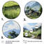 Campagne vietnamienne verte sur toile-1702141449-1702141452