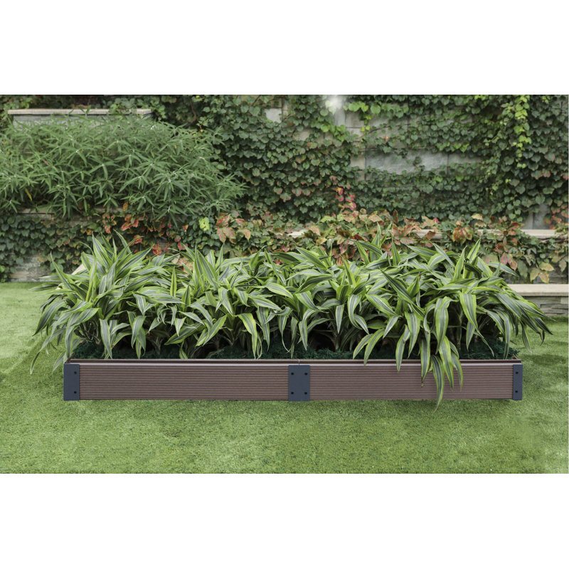 Evanthe Raised Garden Bed, 6.25" H x 24" W x 36" D