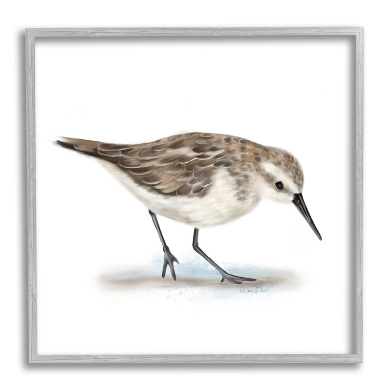 Charmant bécasseau sur un sable doux, oiseau nautique brun - impression, H 12 po x l 12 po x P 1,5 po