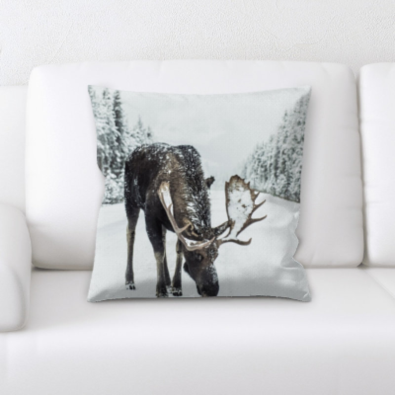 Coussin décoratif Landrum