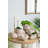 9X5.5X5.7" Sand And Cement Conch Shell Planter With Textured Beige Finish-133986925