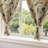 Polyester Small Short Curtains 2 Panels-293180793