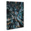Redwood Forest California - Wrapped Canvas-55341194