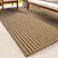 Area Rug-1546101235