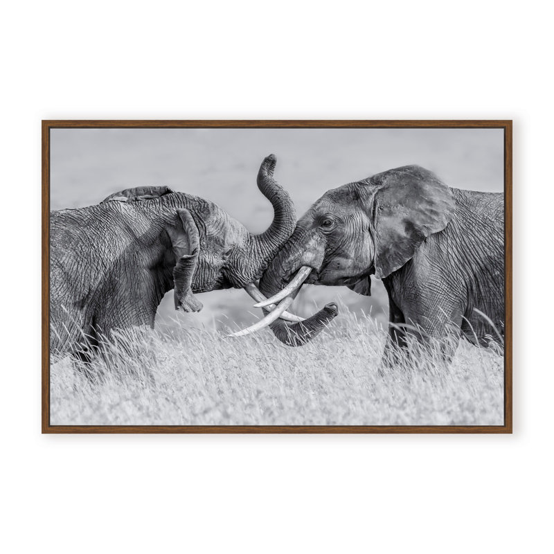 Nature Inspired Elephant Tai Chi by  - Picture Frame Photograph on Paper, 32" H x 48" W x 2.375" D, Framed Canvas, White