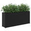 Planter Box-1535048654-1535048655