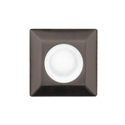 Low Voltage Integrated LED Metal Well Light