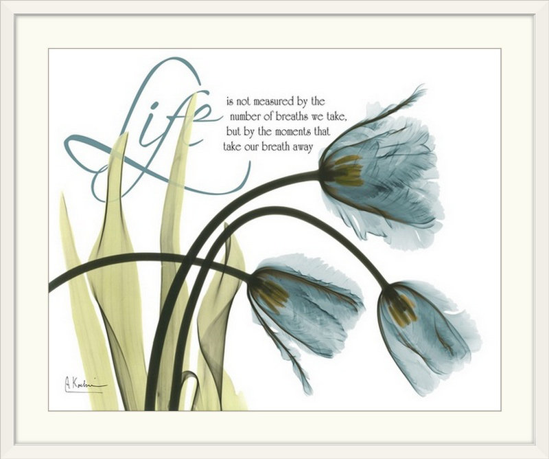 «Manigault 'Life Tulips» par Albert Koetsier - reproduction de photo, H 26 po x l 32 po x P 1 po, Cadre blanc