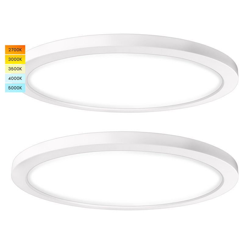 LED Flush Mount